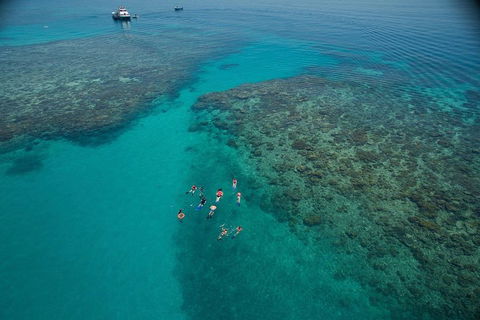 Ocean Freedom Great Barrier Reef Personal Luxury Snorkel & Dive Cruise, Cairns - Mackay Tourism 3