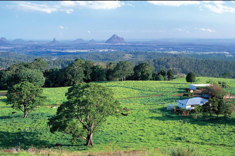 Full Day Sunshine Coast Hinterland Luxury Small Group Tour From Brisbane - Mackay Tourism 2