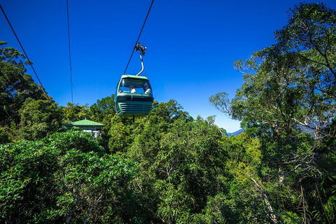 Classic Kuranda By Skyrail And Scenic Railway Including Rainforestation, Koala And Wildlife Park And Pamagirri Aboriginal Experi - Mackay Tourism 0