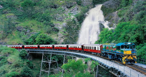 Classic Kuranda By Skyrail And Scenic Railway Including Rainforestation, Koala And Wildlife Park And Pamagirri Aboriginal Experi - Mackay Tourism 1