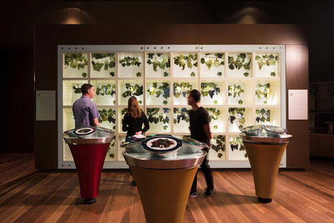Australian Wine Discovery Tour Ticket - Mackay Tourism 3