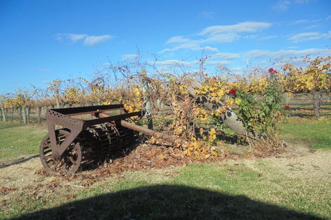 Swan Valley Tour From Perth: Wine, Beer And Chocolate Tastings - Mackay Tourism 3