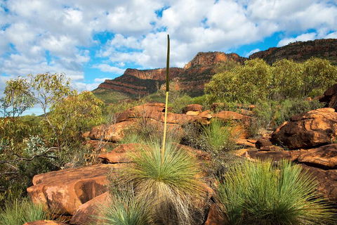 6-Day Eyre Peninsula & Flinders Ranges Adventure Tour - Mackay Tourism 1