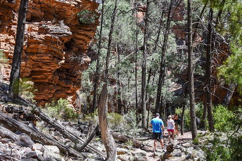 6-Day Eyre Peninsula & Flinders Ranges Adventure Tour - Mackay Tourism 5