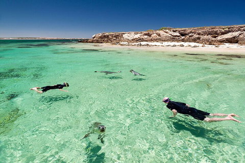 10 Day Adelaide To Perth Private Tour - The Great Australian Wilderness Journey - Mackay Tourism 1
