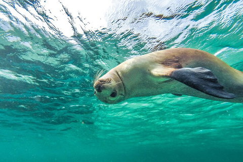 10 Day Adelaide To Perth Private Tour - The Great Australian Wilderness Journey - Mackay Tourism 2
