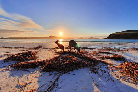 10-Day Perth To Adelaide Adventure Tour - Mackay Tourism 1
