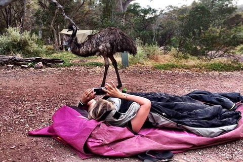 6 Day Esperance & Margaret River Adventure Tour - Mackay Tourism 5