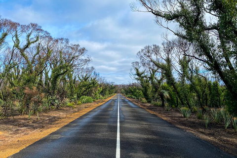 2 Day Ultimate Kangaroo Island With Return Ferry - Mackay Tourism 4