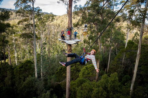 Hollybank Wilderness Adventure - Zipline Tours - Mackay Tourism 0