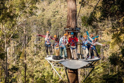 Hollybank Wilderness Adventure - Zipline Tours - Mackay Tourism 1