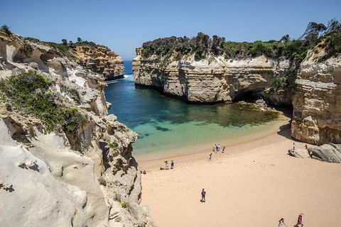 Great Ocean Road Reverse Itinerary With 12 Apostles From Melbourne - Mackay Tourism 5