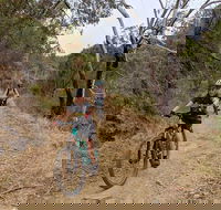 Mount Lofty Descent Bike Tour from Adelaide - Mackay Tourism