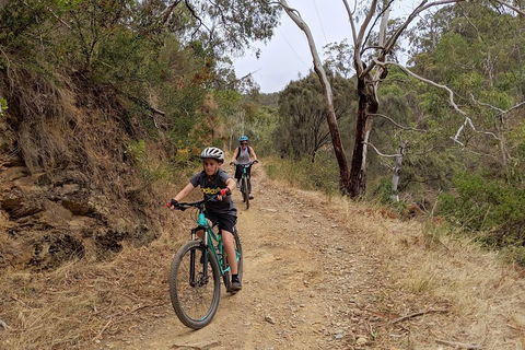 Mount Lofty Descent Bike Tour From Adelaide - Mackay Tourism 0
