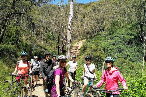 Mount Lofty Descent Bike Tour From Adelaide - Mackay Tourism 5