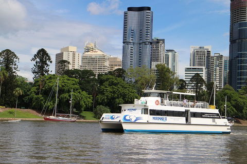 Lone Pine Koala Sanctuary Admission With Brisbane River Cruise - Mackay Tourism 2