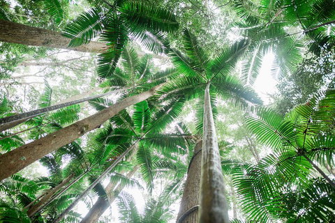 Fraser Explorer K'gari 2-Day Tour - Mackay Tourism 2