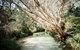 3-Day Fraser Island Resort Package - thumb 5