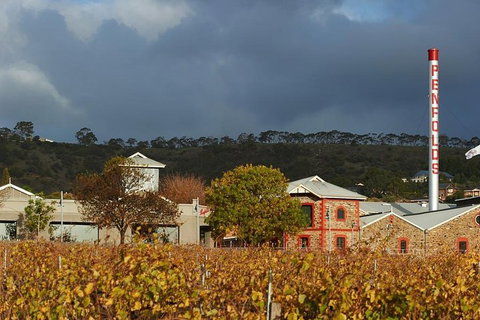 Penfolds Magill Estate Iconic Experience - Mackay Tourism 3