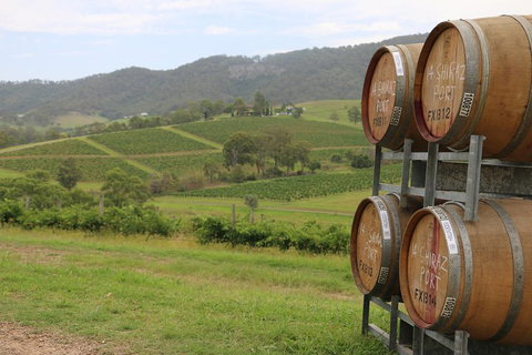 Hunter Valley Wine Tour From Sydney Incl Lunch, Cheese, Chocolate And Distillery - Mackay Tourism 5