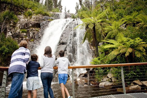 Lake Mountain Snow Trip Including Yarra Valley Chocolaterie From Melbourne - Mackay Tourism 0