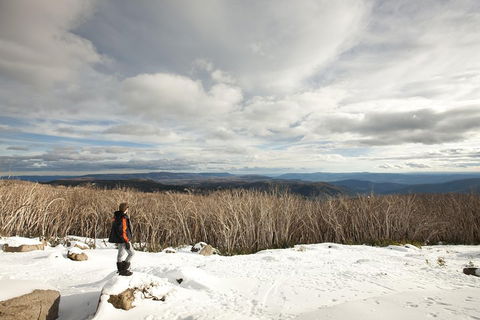 Lake Mountain Snow Trip Including Yarra Valley Chocolaterie From Melbourne - Mackay Tourism 5