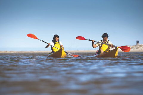 Kangaroo Island Self-Guided Kayaking On The Harriet River - Mackay Tourism 2