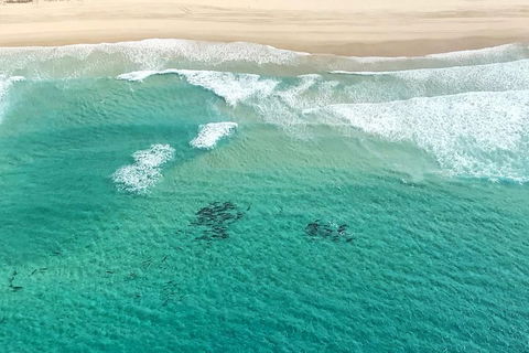 Coastal Helicopter Shared Flight - 20 Minutes - Mackay Tourism 4