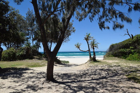 Brisbane Like A Local Customized Private Tour - Mackay Tourism 3
