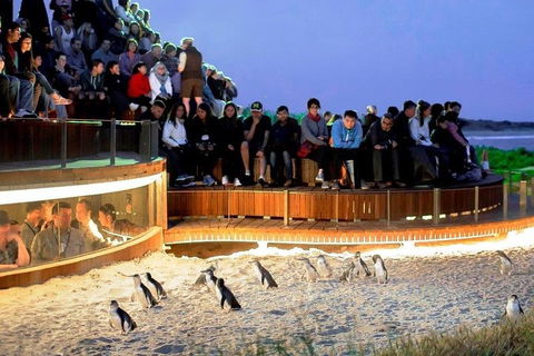 Great Ocean Road & Phillip Island - 3 Days, 2 Nights - Mackay Tourism 0
