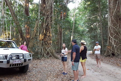 Great Beach Drive 4WD Tour - Private Charter From Noosa To Rainbow Beach - Mackay Tourism 1